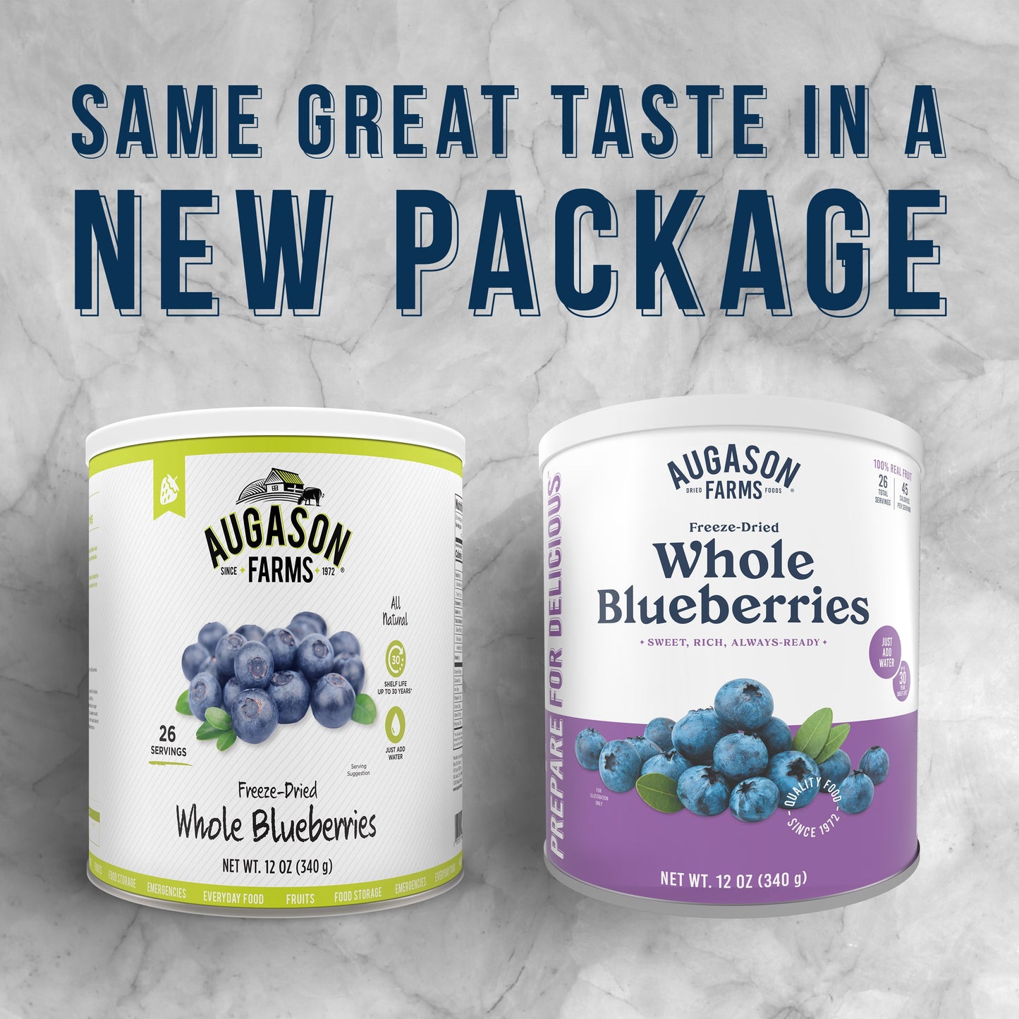 Freeze Dried Whole Blueberries Can – Dried Fruit for Baking & Emergency Food Supply – Freeze-Dried Camping Food with Long Shelf Life for Everyday Meals – 26 Servings
