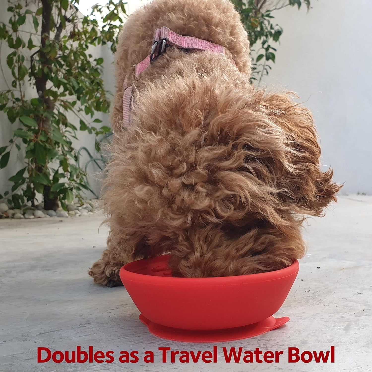 Portable Dog Lick Bowl, Dog Lick Mat for Anxiety, Dog Llck Pad to Help Calm Dog, Calming Aid for Dogs, Dog Car Anxiety Relief Dog Washing Distraction Device, Cherry Red
