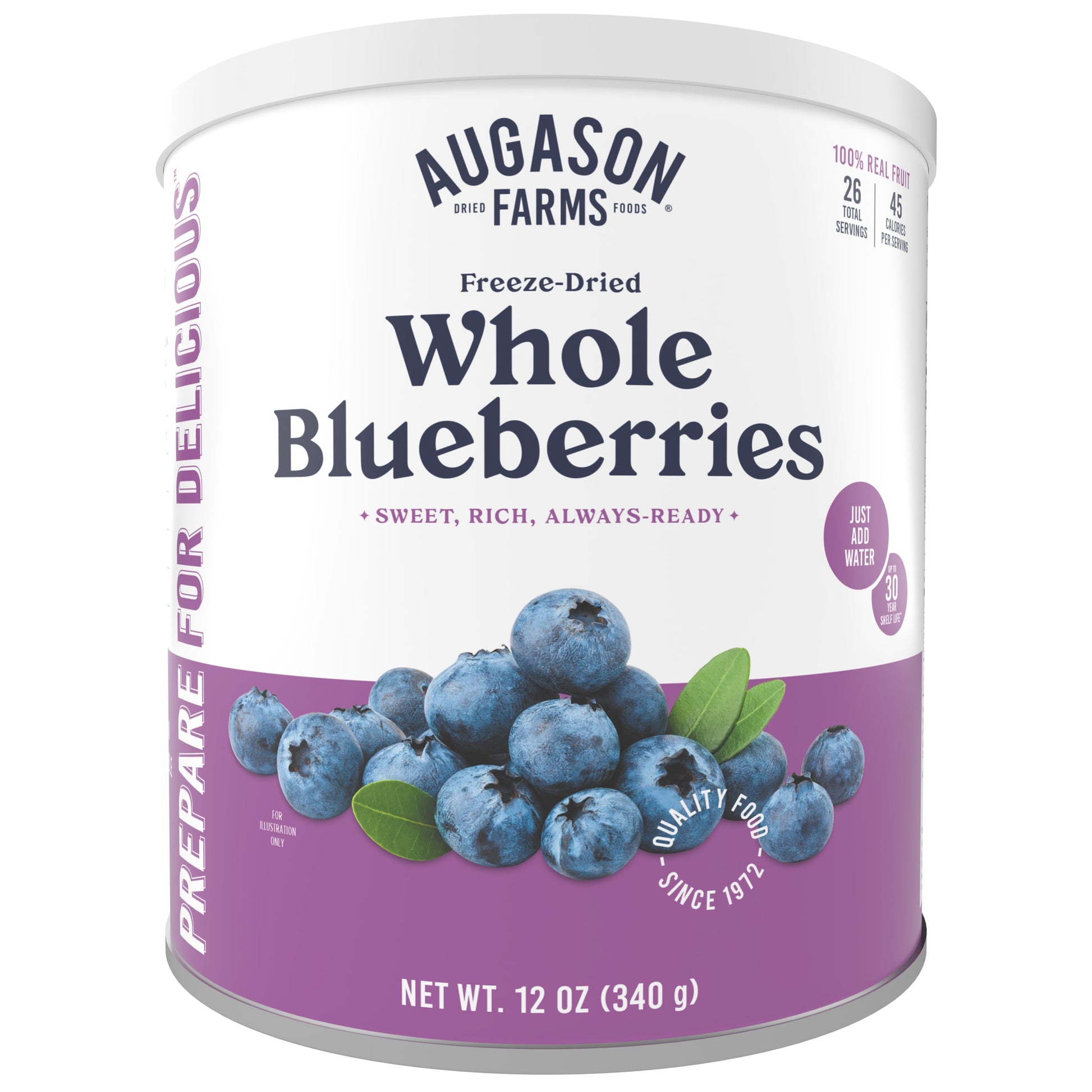 Freeze Dried Whole Blueberries Can – Dried Fruit for Baking & Emergency Food Supply – Freeze-Dried Camping Food with Long Shelf Life for Everyday Meals – 26 Servings