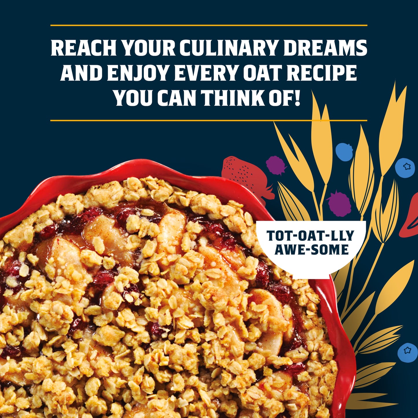 , Quick 1 Minute Oats, Oatmeal, Quick Cook Oatmeal, 42 Oz Canister Dry Oats