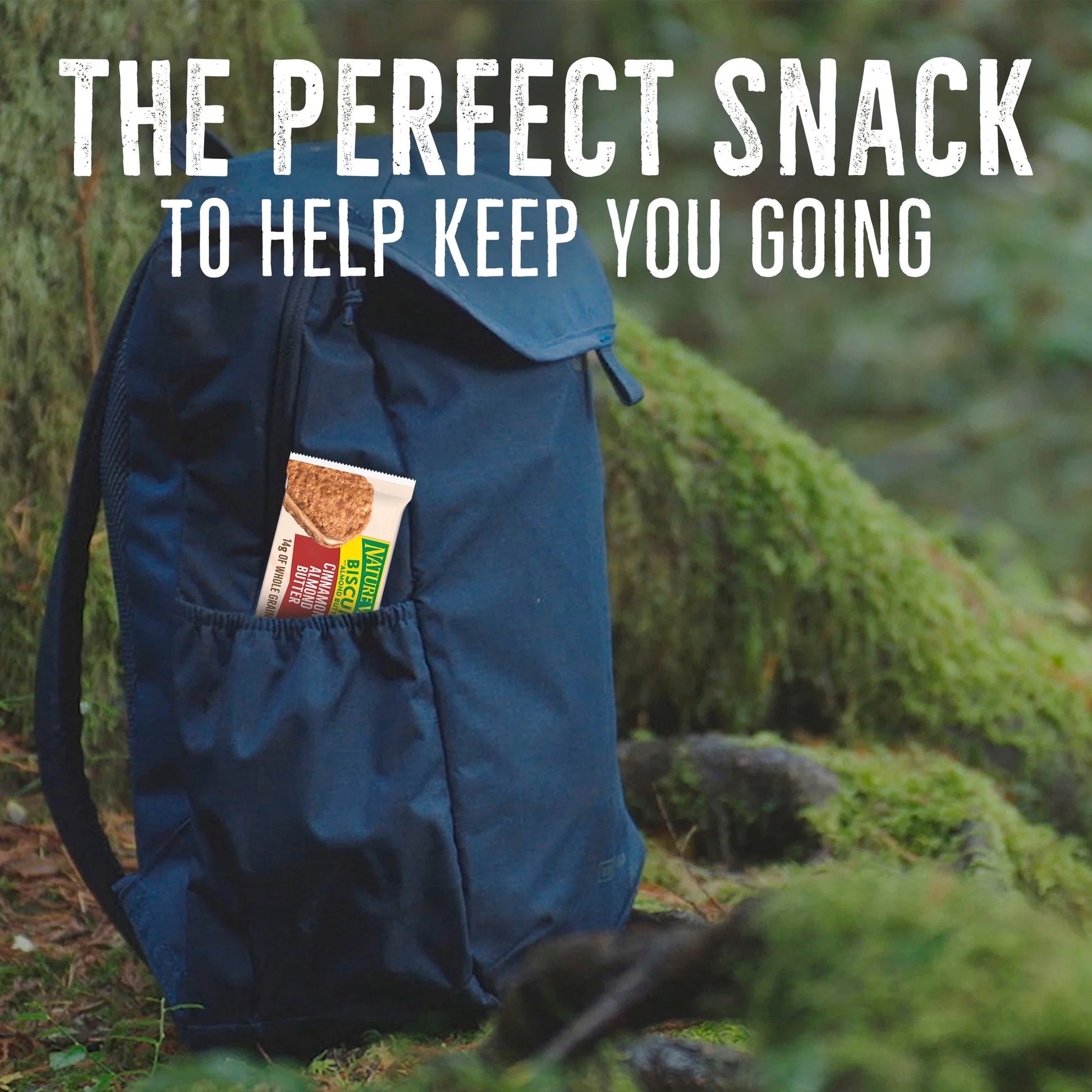 Cinnamon Almond Butter Biscuit Sandwiches Snack Bars (16 Pouches)